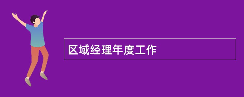 区域经理年度工作