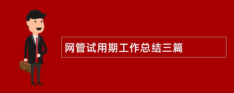 网管试用期工作总结三篇