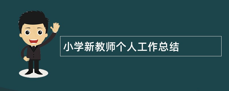 小学新教师个人工作总结