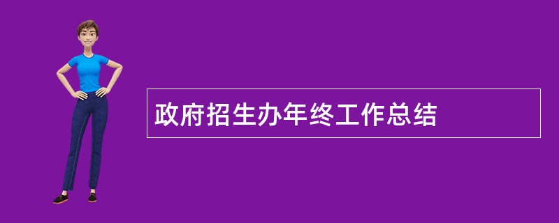 政府招生办年终工作总结