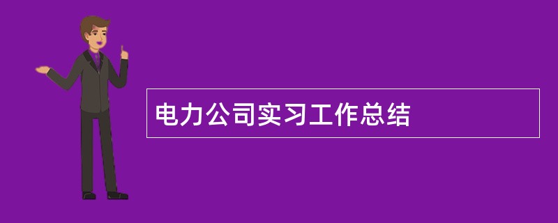 电力公司实习工作总结