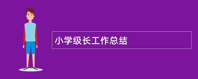 小学级长工作总结