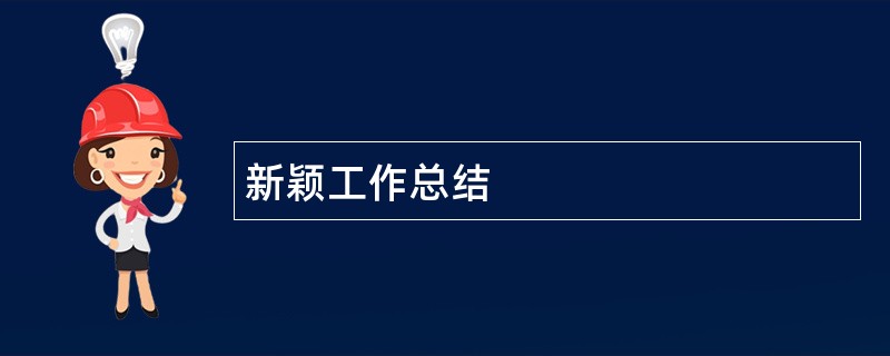 新颖工作总结