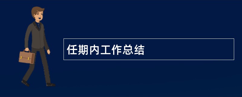 任期内工作总结