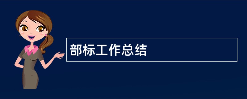 部标工作总结