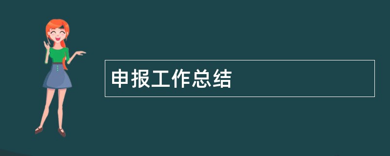 申报工作总结