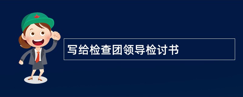 写给检查团领导检讨书