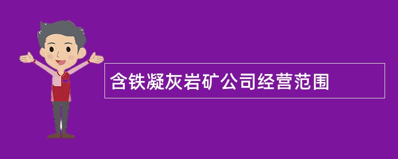 含铁凝灰岩矿公司经营范围