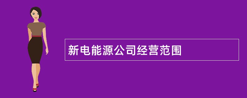 新电能源公司经营范围