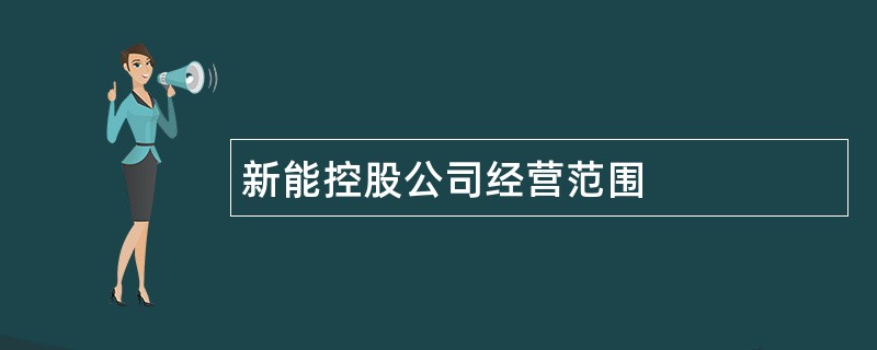 新能控股公司经营范围