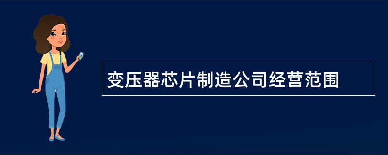 变压器芯片制造公司经营范围