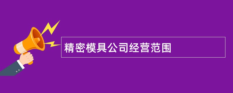 精密模具公司经营范围