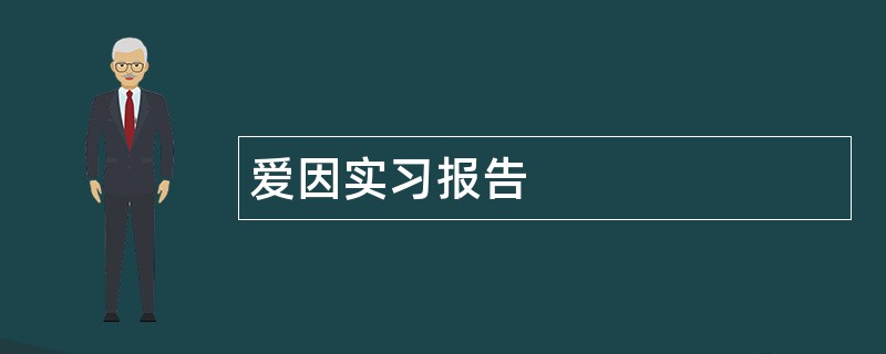 爱因实习报告