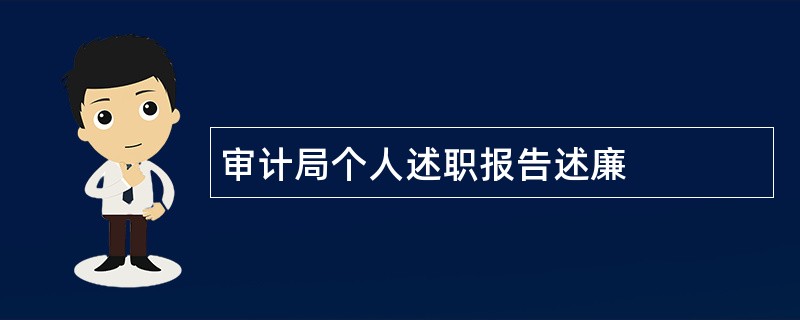 审计局个人述职报告述廉