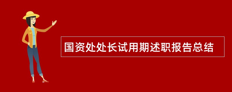 国资处处长试用期述职报告总结