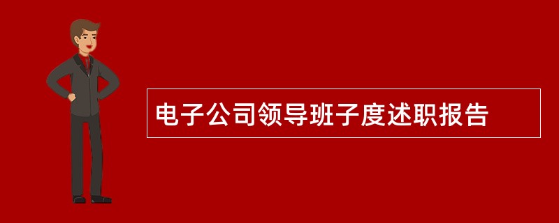 电子公司领导班子度述职报告