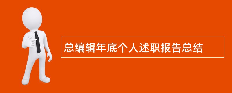 总编辑年底个人述职报告总结