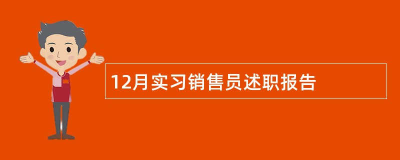 12月实习销售员述职报告