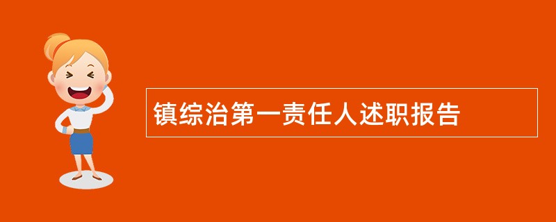 镇综治第一责任人述职报告