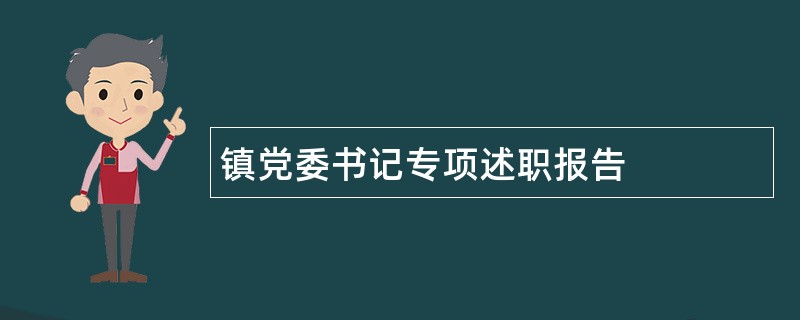 镇党委书记专项述职报告