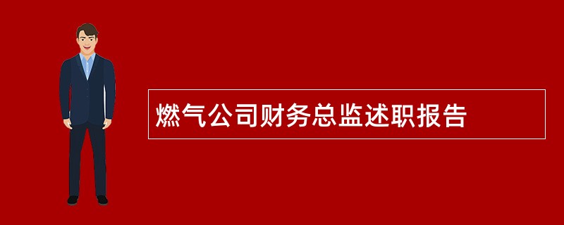 燃气公司财务总监述职报告