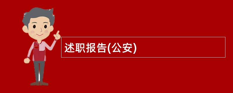 述职报告(公安)