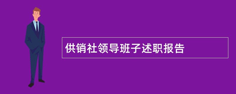 供销社领导班子述职报告