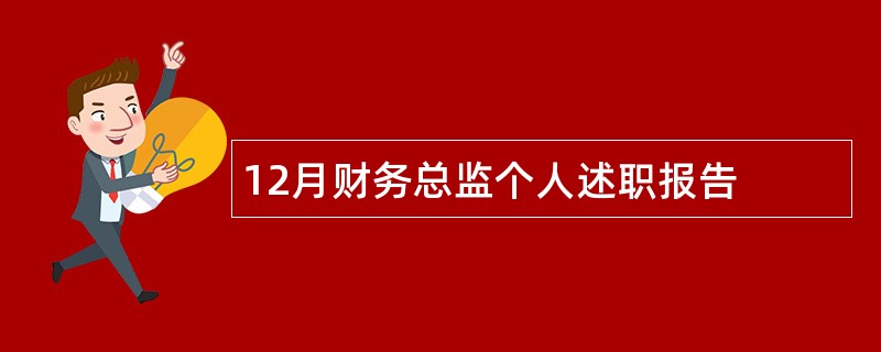 12月财务总监个人述职报告