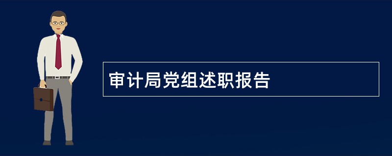 审计局党组述职报告