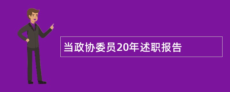 当政协委员20年述职报告