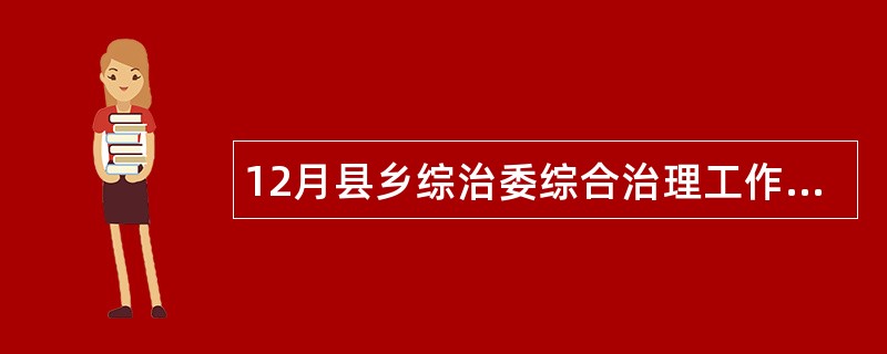 12月县乡综治委综合治理工作述职报告