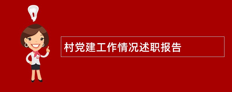 村党建工作情况述职报告