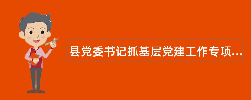 县党委书记抓基层党建工作专项述职报告