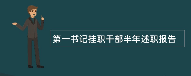 第一书记挂职干部半年述职报告