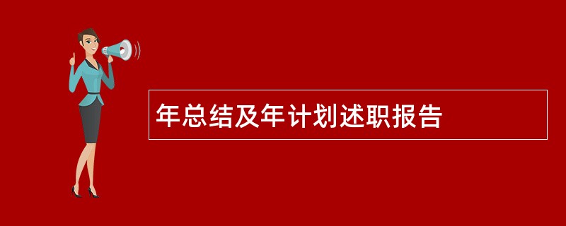 年总结及年计划述职报告