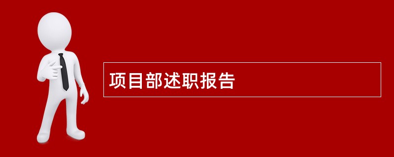 项目部述职报告