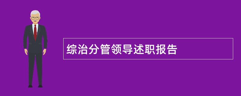 综治分管领导述职报告