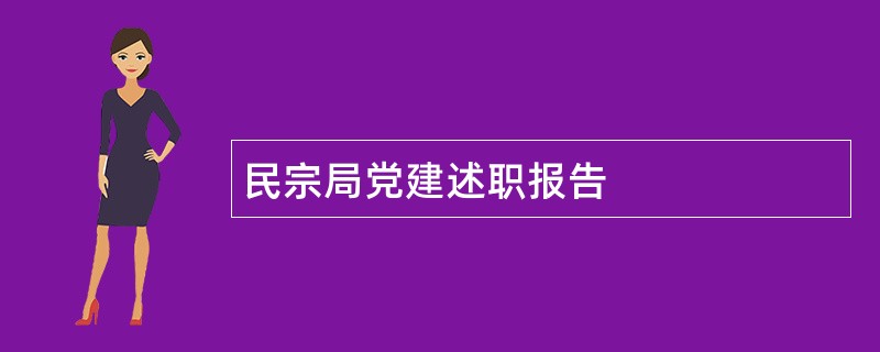 民宗局党建述职报告