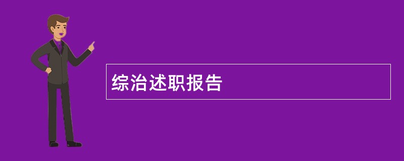 综治述职报告