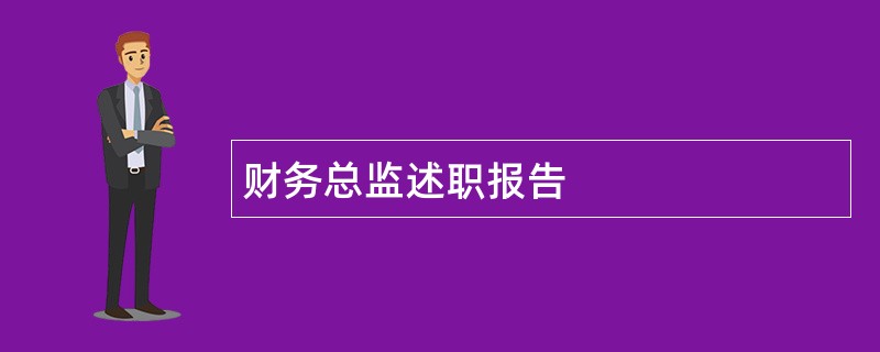 财务总监述职报告