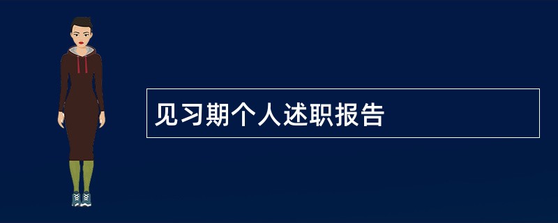 见习期个人述职报告