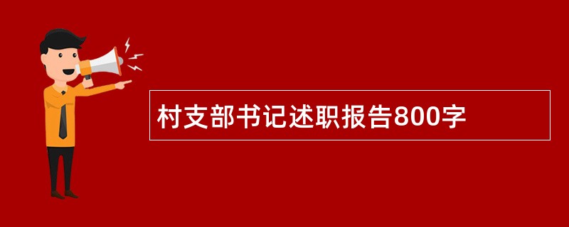 村支部书记述职报告800字