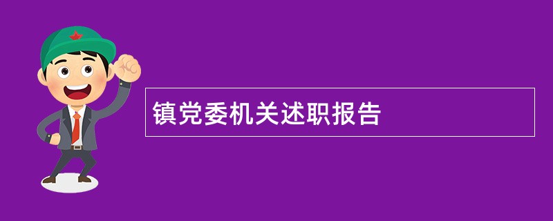 镇党委机关述职报告