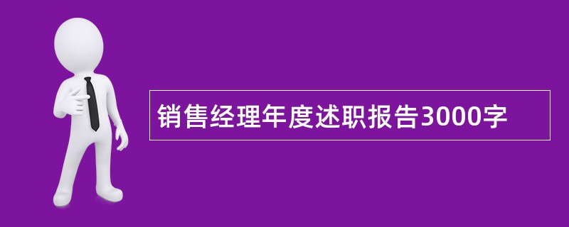 销售经理年度述职报告3000字