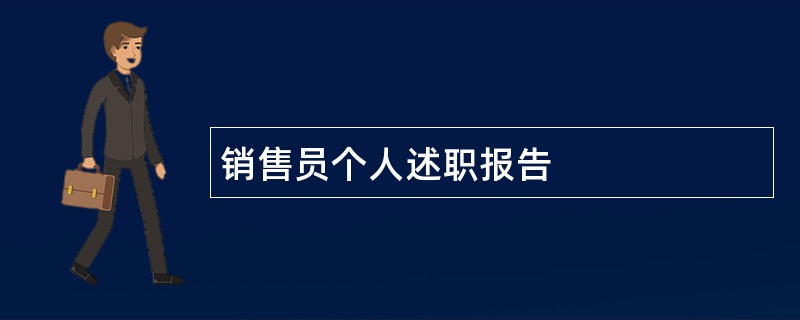 销售员个人述职报告