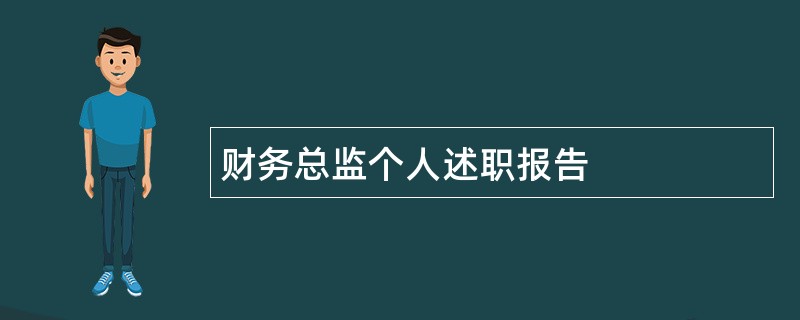 财务总监个人述职报告