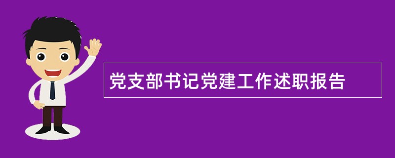 党支部书记党建工作述职报告