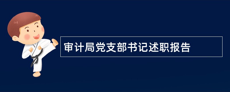 审计局党支部书记述职报告