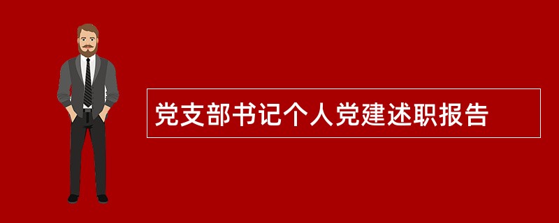 党支部书记个人党建述职报告