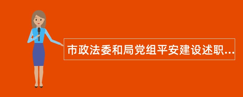 市政法委和局党组平安建设述职报告